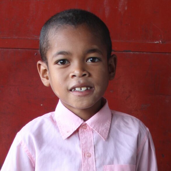 2026 MG5500723 Stella TETE 2026 MG5500723 Stella TETE