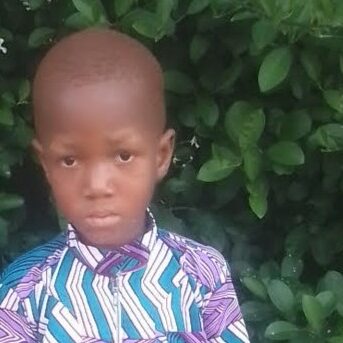 TO1000195 Prince TETE 2026 TO1000195 Prince TETE 2026